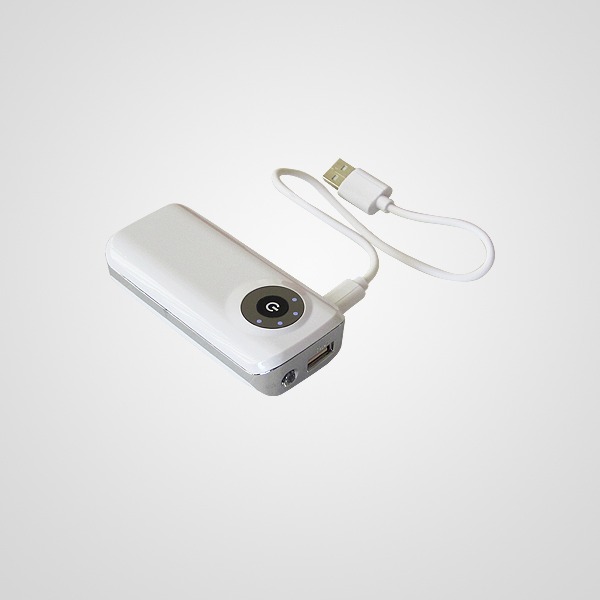 Power bankPB174