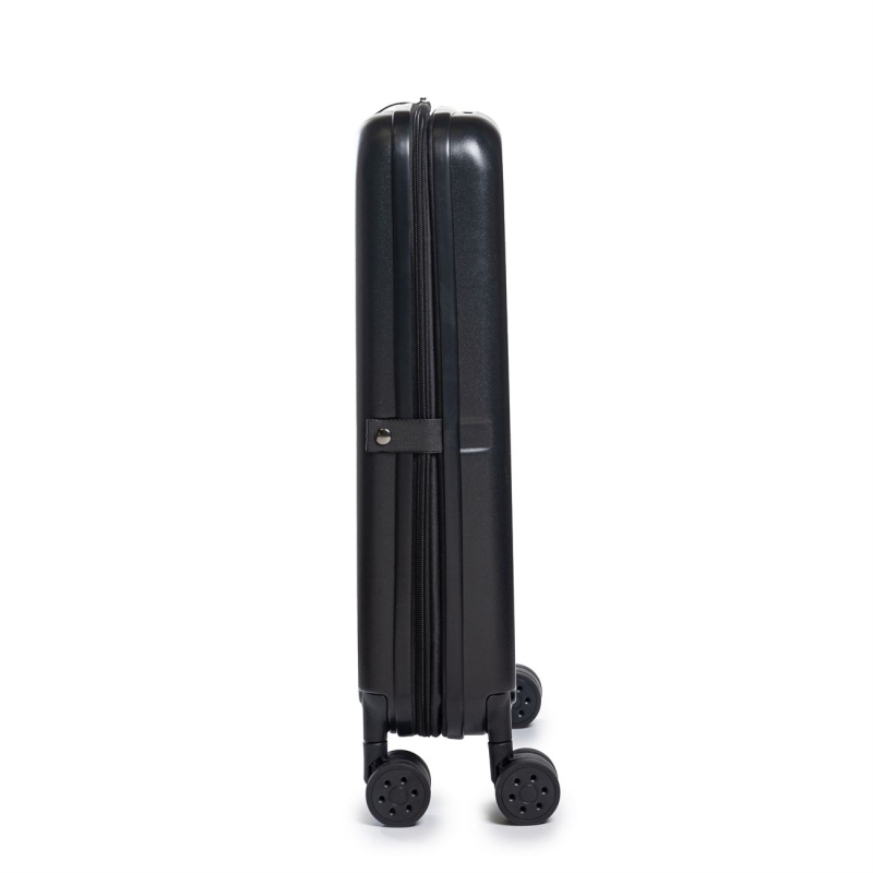 Carry on plegable