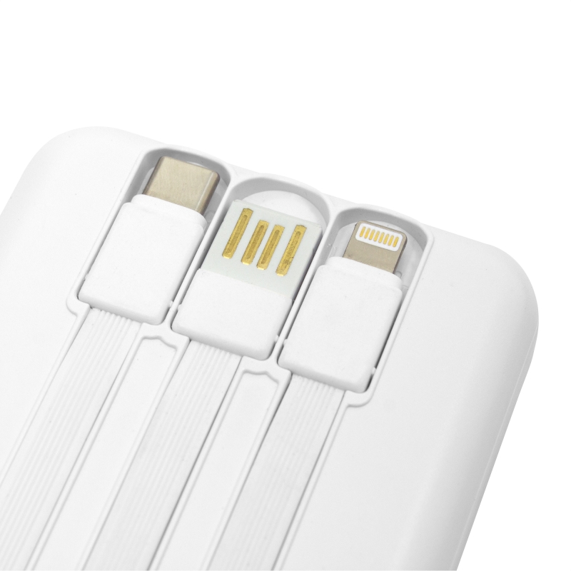 Power Bank multipuerto